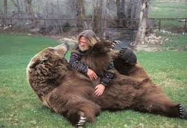 We have listed all the opposite words for. Animal Bellies That Need To Be Rubbed Right Now Bear The Stomach Rubs That We Provide For Our Pets Are Fun And Cute Howe Bart The Bear Animals Cute Animals