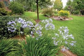 With stunning leaves that have unique. Workshops Offer Information On New Landscaping Law Watermatters Org