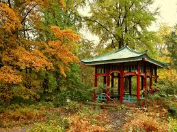 Der botanische garten auf der gugl zählt zu den schönsten anlagen europas. Herbst Im Botanischen Garten In Berlin Foto Bild Deutschland Europe Berlin Bilder Auf Fotocommunity