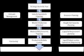 Mrp1 Prsntation-Slides-1226827392037035-8 | Ppt