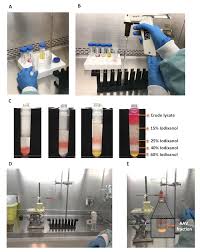 Image result for Silver Grey 1999 AAV