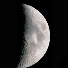 Mond Und Pflanzen Aktueller Mondkalender Kostenlos In 2020 Mondkalender Kalender Mond