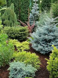 Pin On Garden Tips