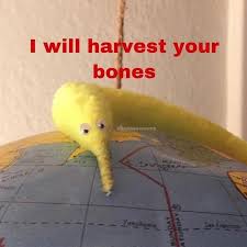 Pin By Bree On My Only Will To Live Funny Memes Stupid Memes Haha Funny