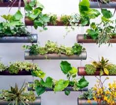 We did not find results for: 6 Cara Membuat Vertical Garden Dari Paralon Rumahlia Com