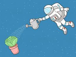 Their labels often stress how easy. Gardens Of The Galaxy Can You Grow Vegetables On Mars Space The Guardian
