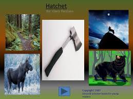 Location research ideally on articles as to their up in writing. Hatchet Book By Gary Paulsen Report By Celia Plot This Book Is About A 13 Year Old Boy Named Brian Robeson He Is Flying In A Cessna 406 Bush Plane Ppt Download