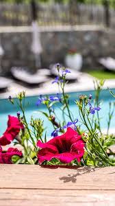 Gufidaunerhof Urlaub Auf Dem Bauernhof Grosser Garten Sudtirol Urlaub