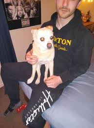 Lost and Found Pets- Cape Breton