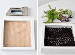 Ikea Hack Bepflanzte Bilderrahmen Selber Machen Bilderrahmen Selber Machen Grune Bilderrahmen Ikea Bilderrahmen