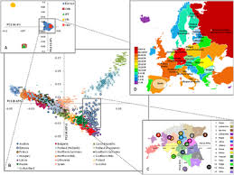 Genetic History Of Europe Wikipedia