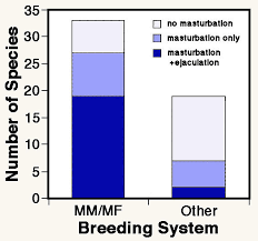 Masturbating twice every day is good and healthy, but anything more than 15 to 20 times a week has to be addressed. Masturbation Self Abuse Or Biological Necessity Psychology Today