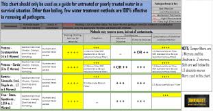 Shtf Water Filtering And Purification For Preppers