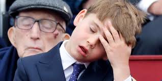 Prince Louis Mimics Prince George Fixing His Hair