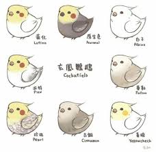 Maybe you would like to learn more about one of these? Kawaii Chubby Kawaii Cute Bird Drawing Novocom Top