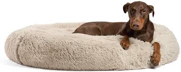 Maybe you would like to learn more about one of these? Best Dog Beds For Large Dogs Veterinarians Org
