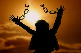 La Libertà ha veramente le ali? | Il Nuovo Torrazzo