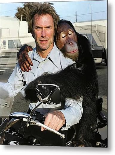 Clint Eastwood in ''Every Which Way But Loose'' Metal Print by Retro Movie  Art - Fine Art America