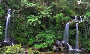 Air Terjun Grenjengan Kembar Air Terjun Air Kembar