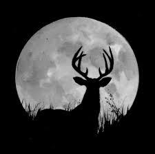 Moon Phase And The Rut Or Something To Argue About At Deer