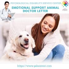 Emotional Support Dog In 2020 Pet Care Business Emotional Support Animal Emotional Support Dog