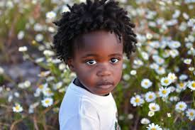 Springs innocence close up portrait amid daisy fields reflecting seasonal  joy