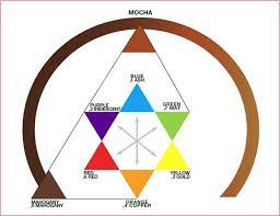 Colour Wheel Hair Color Wheel Hair Toner Loreal Hair Color Chart