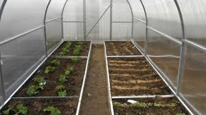 как правильно сделать грядки в теплице 3 на 6 Gryadki V Teplice 3 Na 6 Luchshie Varianty Kak Sdelat Svoimi Rukami