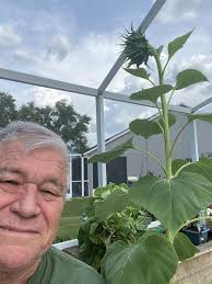 Peter Edward Gould Obituary