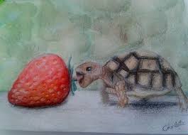 Just a cute little turtle eating a strawberry with a voiceover. Baby Turtle Eats Strawberry By Lapetiteartistechar On Deviantart