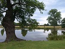 Mounties said a resident reported finding a number of dead and sick squirrels in. Richmond Park Wikipedia