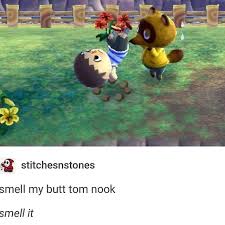 It's been almost three months since animal crossing: Animal Crossing Memes Tumblr Viral Memes