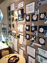 Documentation Board For Seed Art Childcare Childcare Key Educator Display Childcare In 2020 Reggio Inspired Classrooms Reggio Classroom Reggio Emilia
