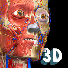 Anatomy and physiology is one of the toughest courses nursing students take, but don't worry — we're here to help with this useful guide of study tips! Anatomy Learning 3d Anatomy Atlas Apps On Google Play