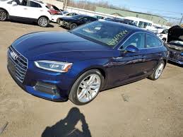 Image result for Navarra Blue 2019 A5