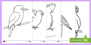 Australian wild animals coloring book. Australian Birds Colouring Pages Teacher Made