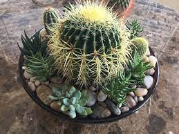 Así que cuando quiero reverdecer la casa pienso más bien en ideas decorativas como las flores de papel que son ideales y por eso quise hacer también estos mini cactus de papel que hacen un jardín soñado lleno de color y creatividad. Como Hacer Un Jardin En Miniatura Jardineria On