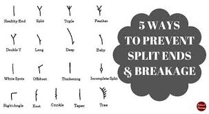 5 Ways To Prevent Split Ends And Breakage Http Bit Ly 2x2xixi Naturalhair 4chair Kinkycurly Relaxedhair Hairregimen Split Ends Dry Hair Hair Regimen