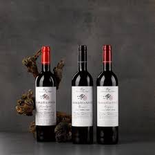 Cabernet sauvignon, with more than 700,000 acres worldwide. The Wine Quiz Trivia Questions And Answers Free Online Printable Quiz Without Registration Download Pdf Multiple Choice Questions Mcq