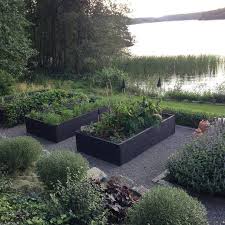 Setting Up A Vegetable Garden In 2020 Garten Garten Landschaftsbau Garten Hochbeet