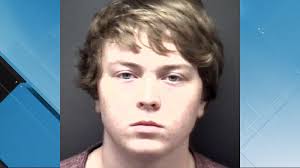 Teen charged with sex offenses involving child