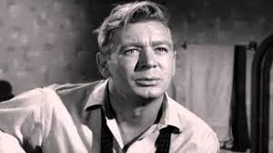 Objection Overruled: Confessions of a Twentysomething Perry Mason Addict:  The Case of the Nebulous Nephew