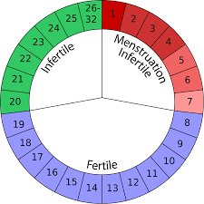 Calcolo dei giorni fertili con il calcolatore del periodo fertile (ovulazione) per concepire o sapere se il calcolatore del periodo fertile calcola i giorni dell'ovulazione partendo dalla data dell'ultimo ciclo. Metodo Ogino Knaus Wikipedia