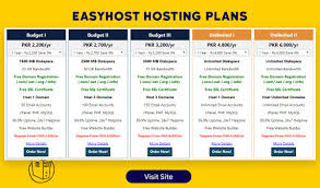 Best Web Hosting In Pakistan Best Web Web Hosting Hosting Company