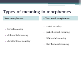 This sometimes parallels the bound/free distinction, but is of the morpheme is the minimal meaningful. Morphemes The Structure Of The English Word Lecture
