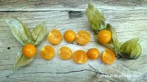 Eine reife physalis erkennt man an der vertrockneten schale, so wie man es aus dem supermarkt kennt. Physalis Frucht Tong Teng Farang à¹‚à¸—à¸‡à¹€à¸—à¸‡à¸à¸£ à¸‡ Thai Thaifood De
