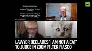 I'm here live, i'm not a cat, says lawyer after zoom filter mishap. Lawyer Declares I Am Not A Cat To Judge In Zoom Filter Fiasco Youtube