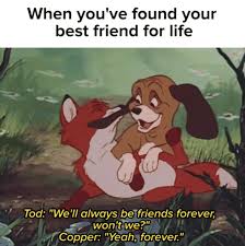 Here they are do i really need to tell you a joke? 19 Jokes That Were Probably Made For Only You And Your Best Friend
