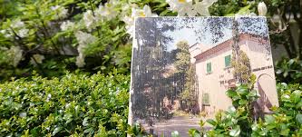 Kann mir jemand sagen ob ich noch einen anderen kleber für das potchen verwenden kann außer transfer kleber? Wanddeko Selber Machen Foto Auf Holz Ernsting S Family Blog