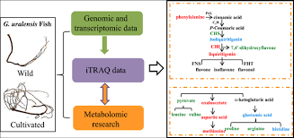 The itraq nano device and companion app offer the most reliable and accurate tracking technology on the market, ensuring your loved ones and belongings are safe & secure. Comparative Itraq Proteomic Analysis Provides The Molecular Basis Of The Metabolites In Cultivated I Glycyrrhiza Uralensis I And Its Wild Type Bentham Science